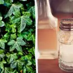 A borostyán nem fogja túlélni: 2 filléres konyhai jogorvoslat, amely