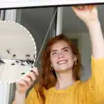 A rovarok távol maradnak a háztól: mit tegyen az ablakpárkányra