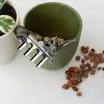 A szakértők megcáfoltak egy népszerű mítoszt: a cserép alján lévő