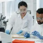 A vadon élő állatok kereskedelme növeli a veszélyes betegségek emberre