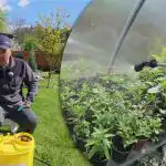 Az éjszakai "mínuszok" nem szörnyűek - hogyan védjük meg a