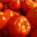 Miért nem pirosodik a paradicsom szeptemberig: a zöldségtermesztők fő hibája miert-nem-pirosodik-a-paradicsom-szeptemberig-a-zoldsegtermesztok-fo-hibaja.jpg