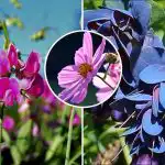 Mit ültessünk áprilisban: hét virág, amely színes tündérmesévé varázsolja a