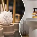 Tiszta fodros percek alatt: a tisztítás és fertőtlenítés egyszerű módja